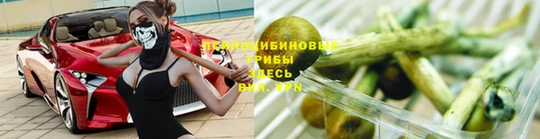 метадон Козловка